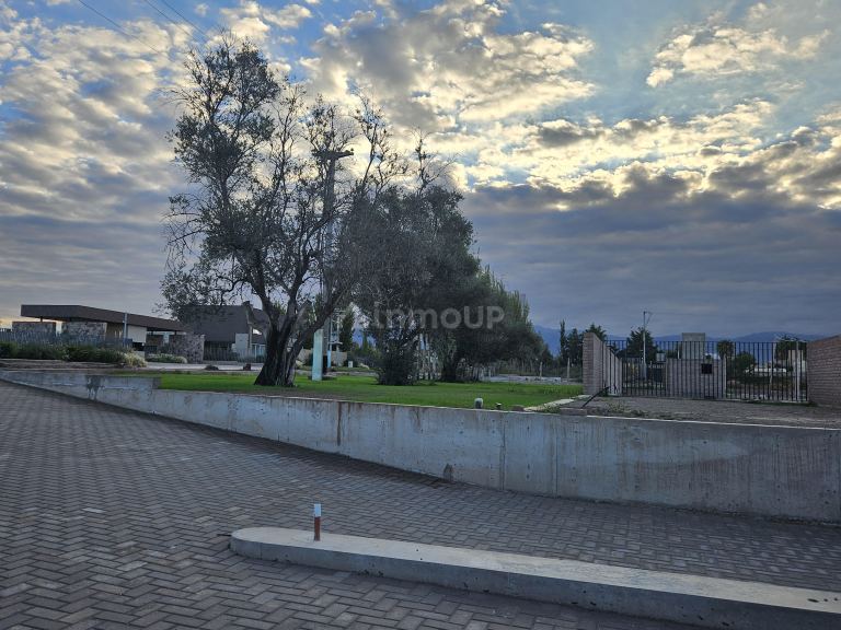 Lote en Venta en Lujan de Cuyo, Mendoza