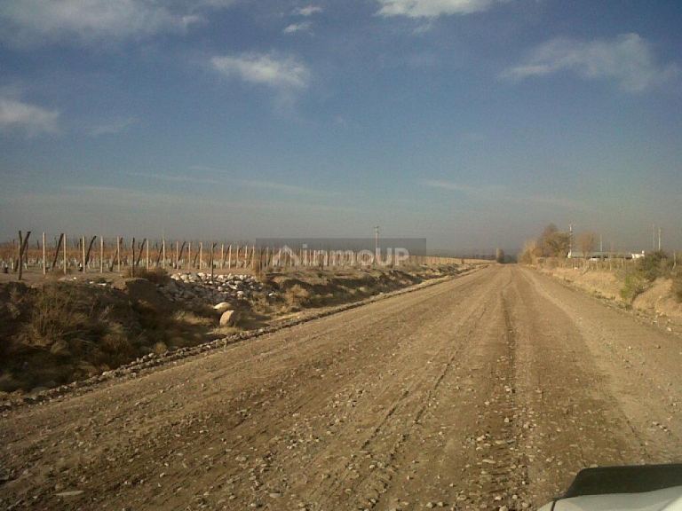 Finca en Venta en San Carlos, Mendoza