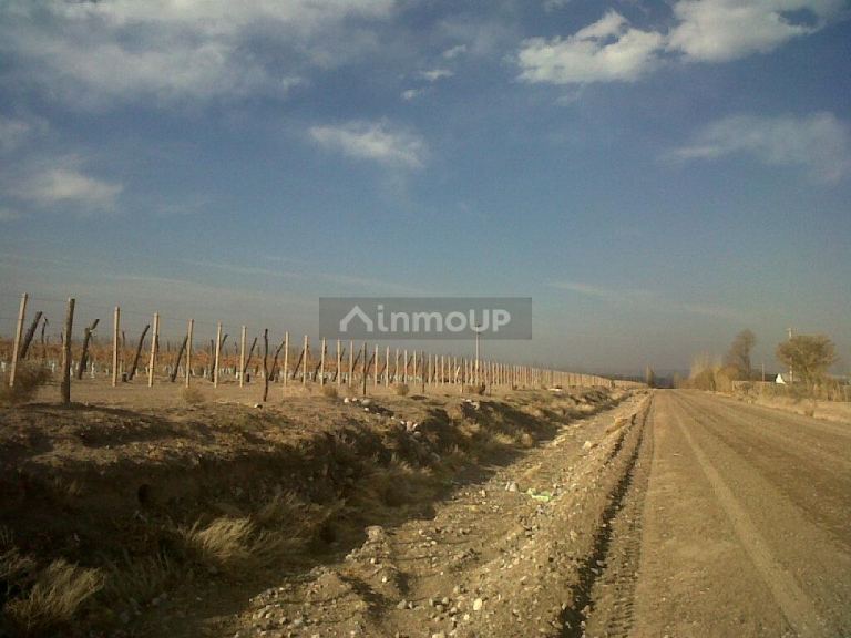 Finca en Venta en San Carlos, Mendoza