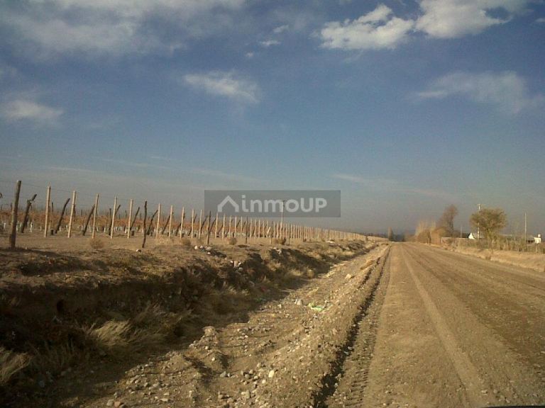 Finca en Venta en San Carlos, Mendoza