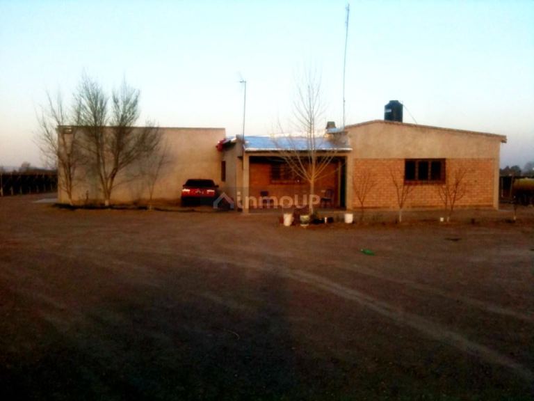 Finca en Venta en Lujan de Cuyo, Mendoza