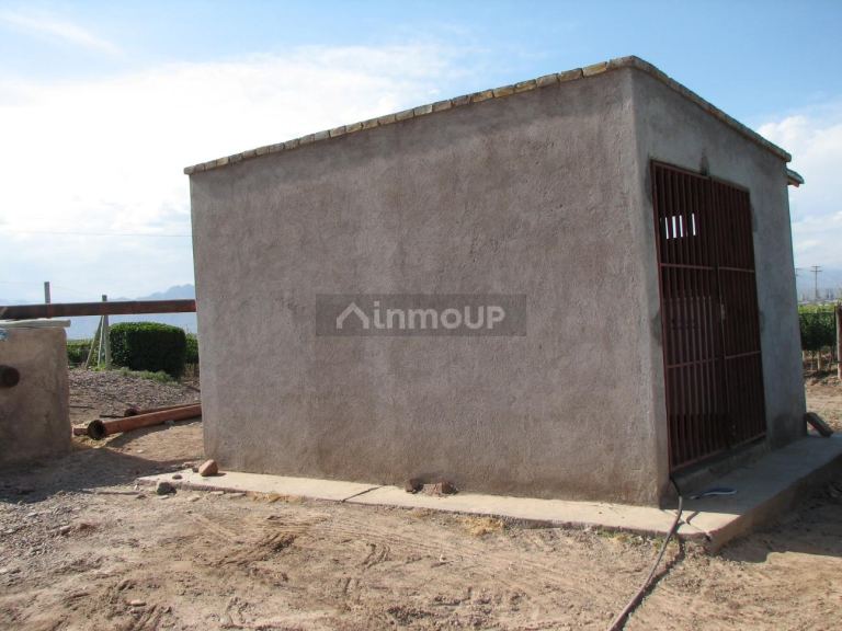 Finca en Venta en Lujan de Cuyo, Mendoza