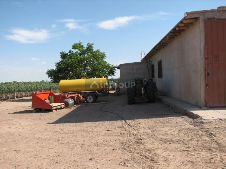 Finca en Venta en Lujan de Cuyo, Mendoza