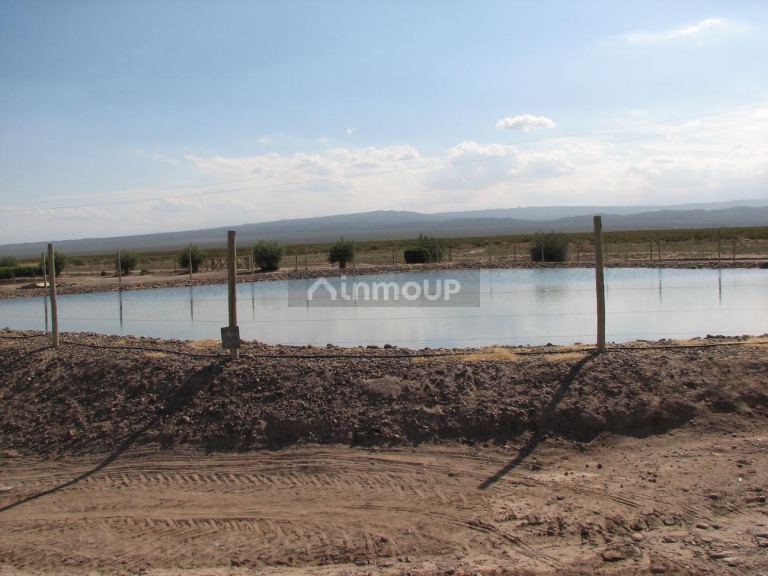 Finca en Venta en Lujan de Cuyo, Mendoza