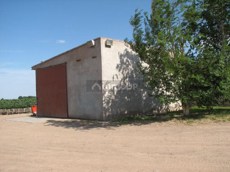Finca en Venta en Lujan de Cuyo, Mendoza