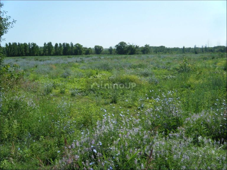 Campo en Venta en Tunuyan, Mendoza