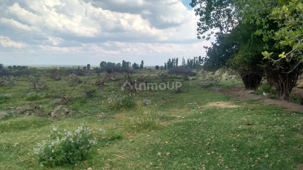 Campo en Venta en Tunuyan, Mendoza