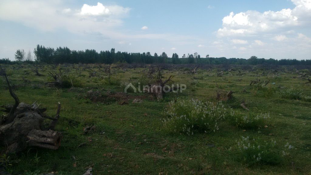 Campo en Venta en Tunuyan, Mendoza
