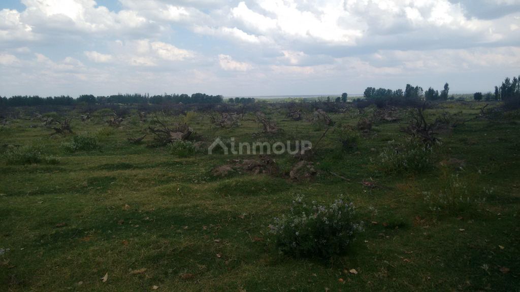 Campo en Venta en Tunuyan, Mendoza