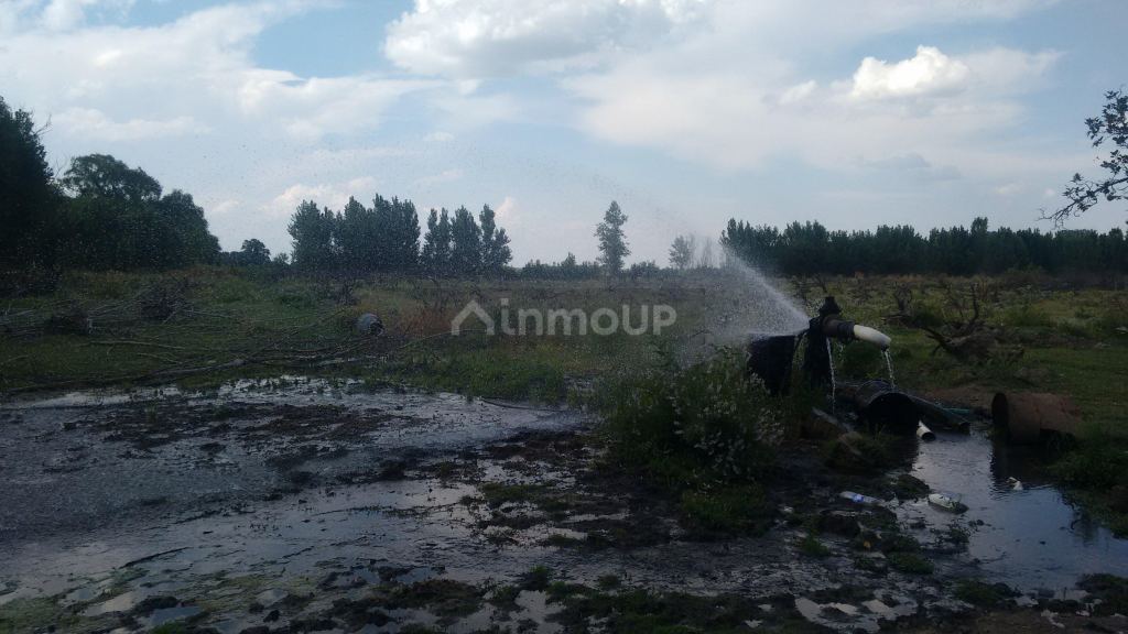 Campo en Venta en Tunuyan, Mendoza