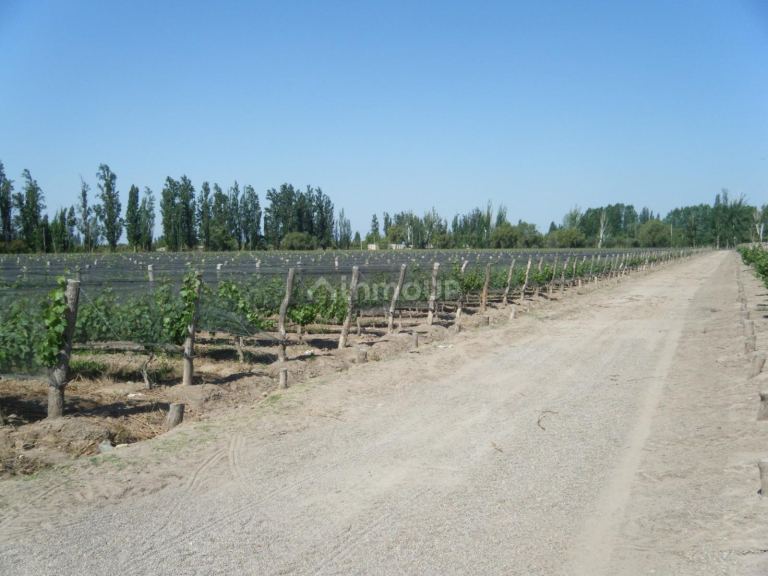 Bodega en Venta en Maipu, Mendoza