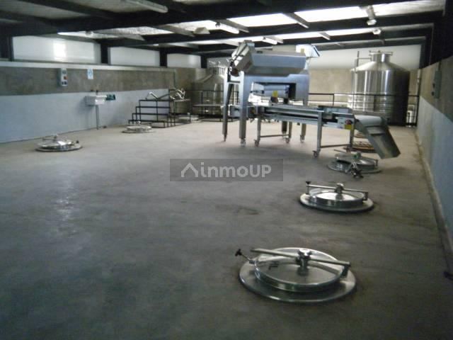 Bodega en Venta en Maipu, Mendoza