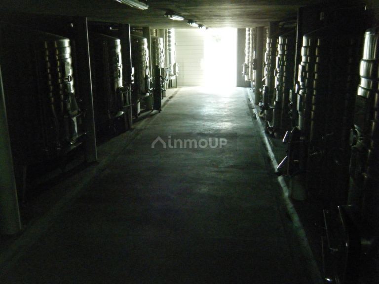 Bodega en Venta en Maipu, Mendoza