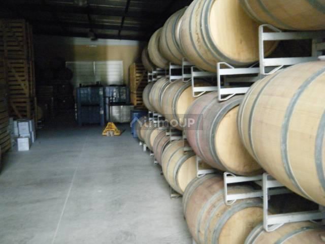 Bodega en Venta en Maipu, Mendoza