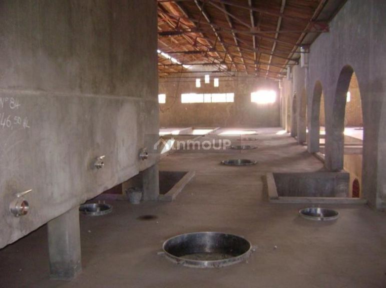 Bodega en Venta en San Martin, Mendoza