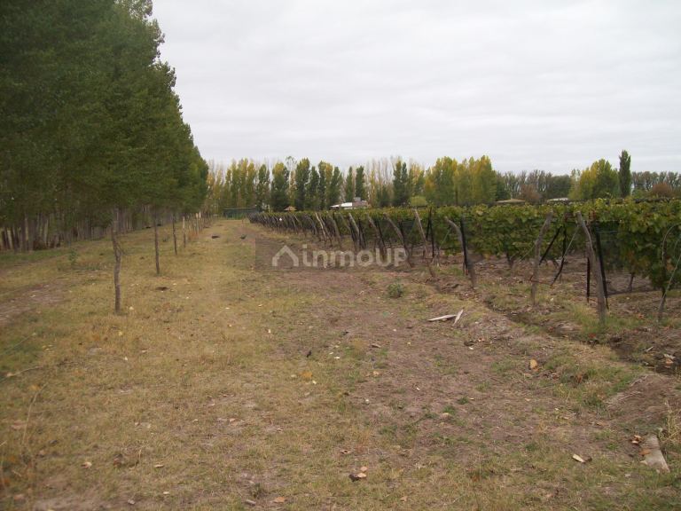 Finca en Venta en San Rafael, Mendoza