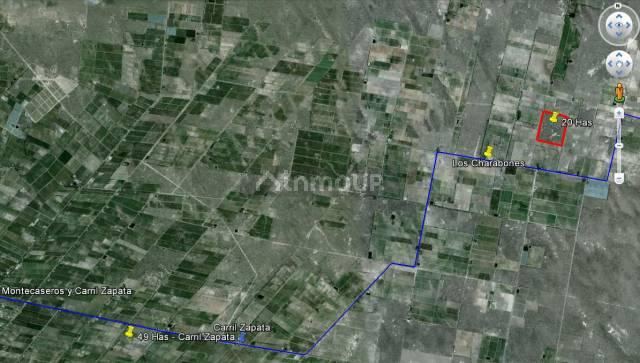 Campo en Venta en San Martin, Mendoza