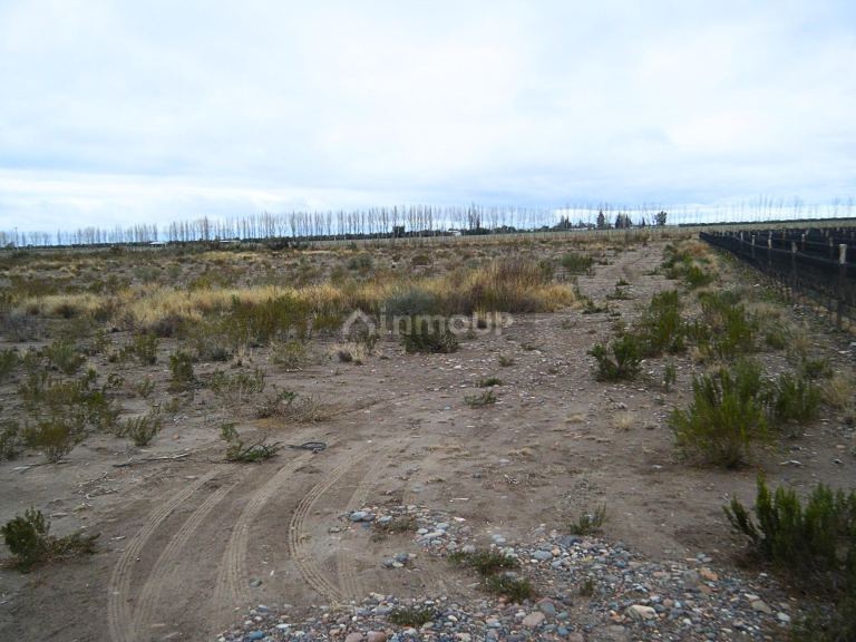 Finca en Venta en Maipu, Mendoza