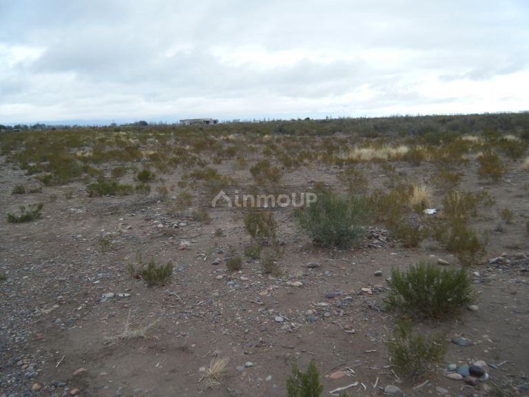 Finca en Venta en Maipu, Mendoza