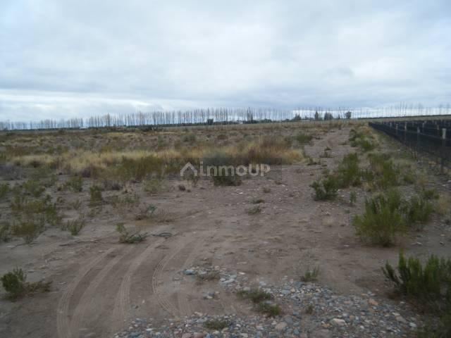 Finca en Venta en Maipu, Mendoza