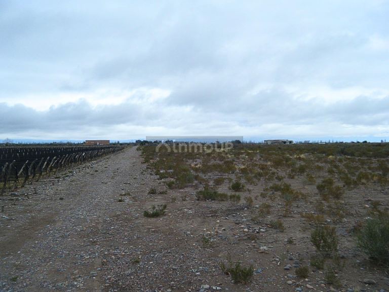 Finca en Venta en Maipu, Mendoza