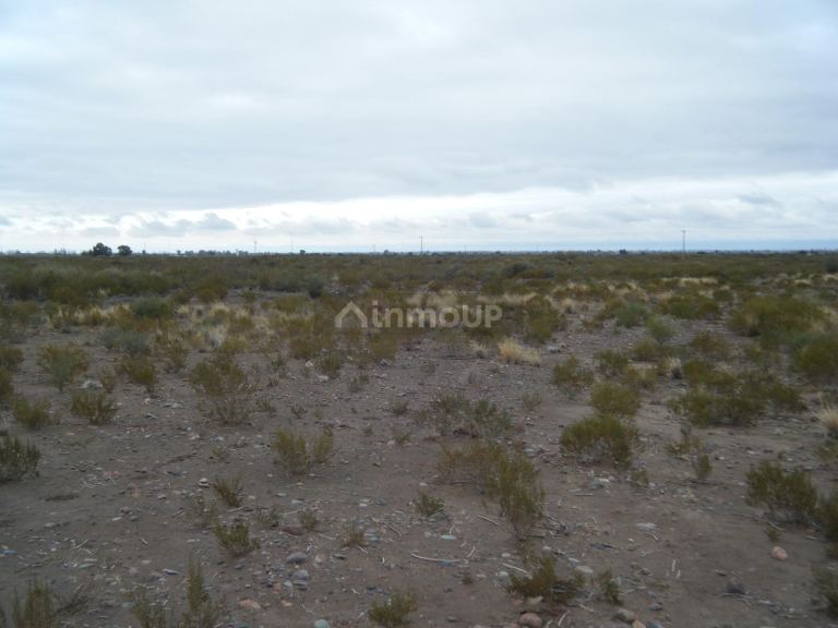 Finca en Venta en Maipu, Mendoza