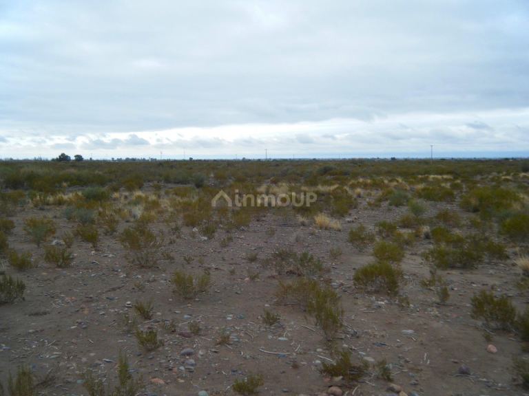 Finca en Venta en Maipu, Mendoza