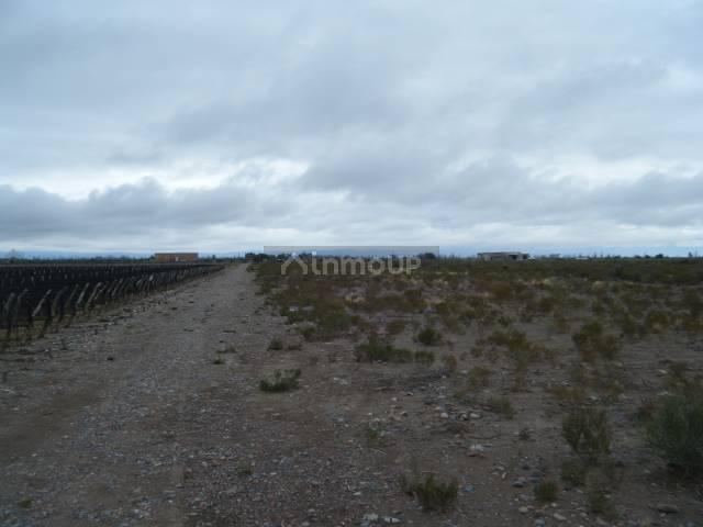 Finca en Venta en Maipu, Mendoza