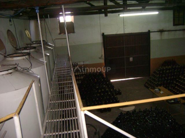 Bodega en Venta en Maipu, Mendoza
