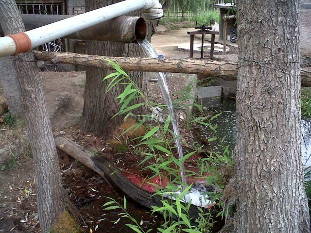 Finca en Venta en Tunuyan, Mendoza