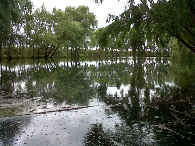 Finca en Venta en Tunuyan, Mendoza