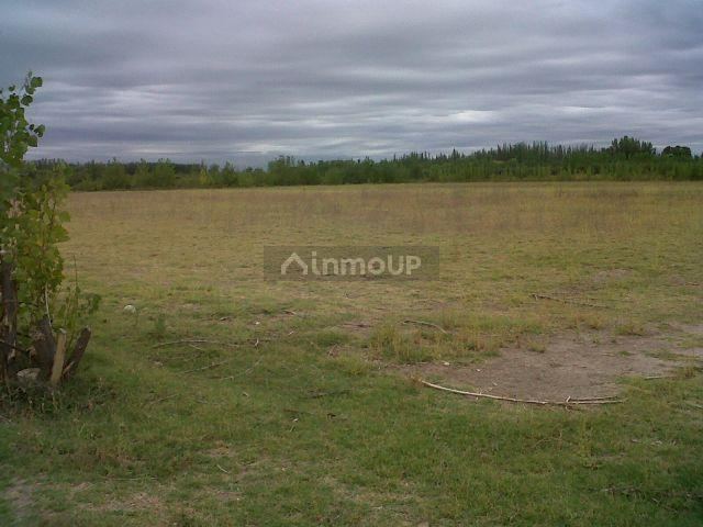 Finca en Venta en Tunuyan, Mendoza