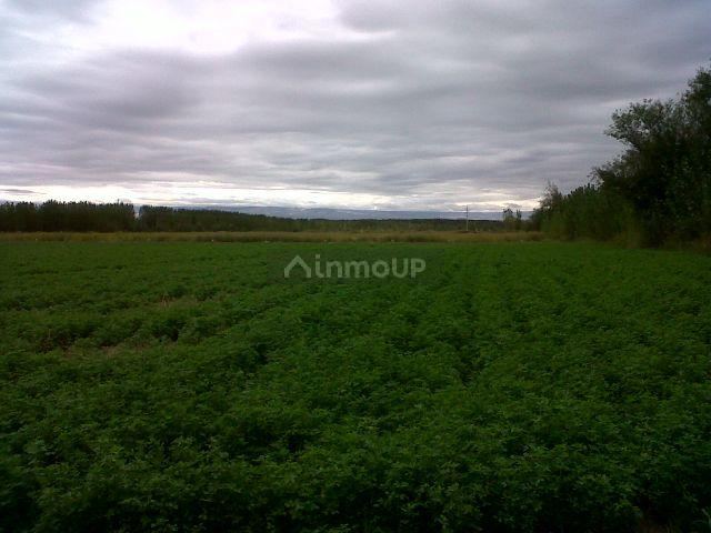 Finca en Venta en Tunuyan, Mendoza