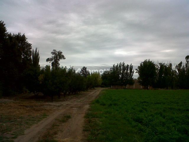 Finca en Venta en Tunuyan, Mendoza