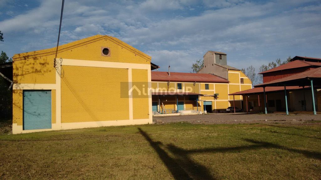 Bodega en Venta en Rivadavia, Mendoza
