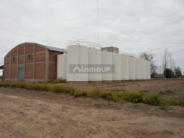 Finca en Venta en Lujan de Cuyo, Mendoza