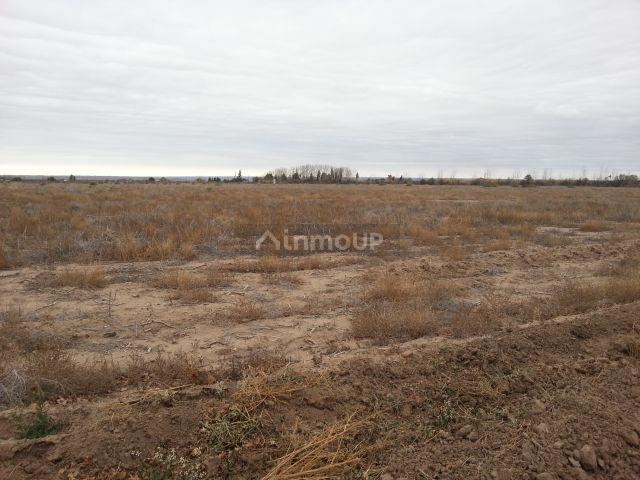 Finca en Venta en Lujan de Cuyo, Mendoza
