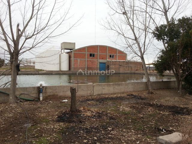 Finca en Venta en Lujan de Cuyo, Mendoza