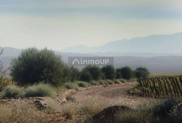 Finca en Venta en Lujan de Cuyo, Mendoza