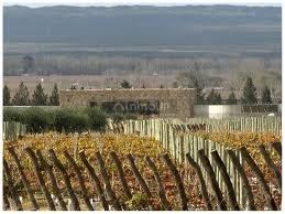 Finca en Venta en Lujan de Cuyo, Mendoza