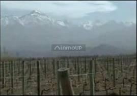 Finca en Venta en Lujan de Cuyo, Mendoza