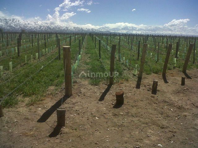 Loteo en Venta en Tunuyan, Mendoza