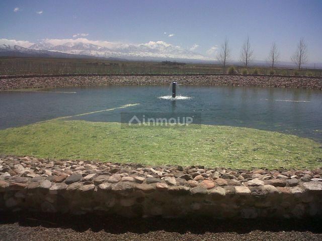 Loteo en Venta en Tunuyan, Mendoza