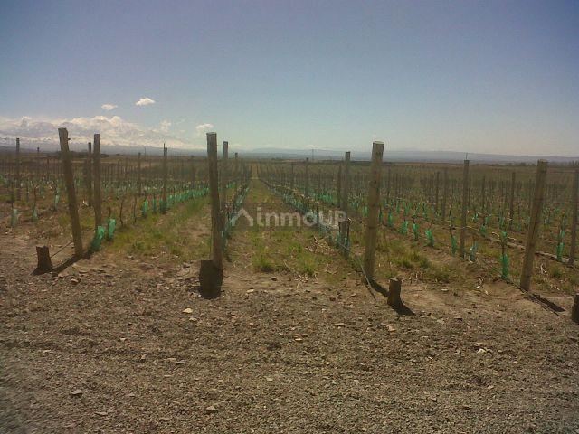 Finca en Venta en Tunuyan, Mendoza