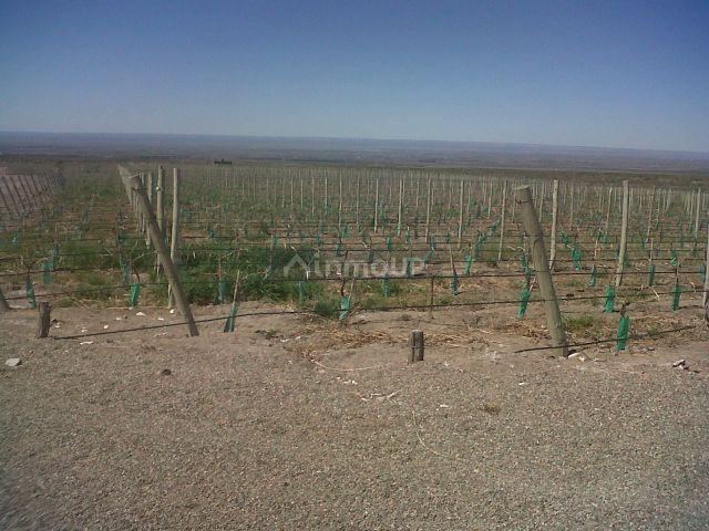 Finca en Venta en Tunuyan, Mendoza