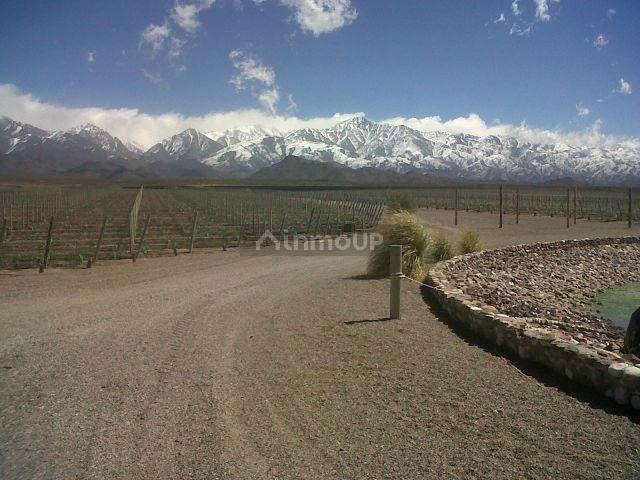 Finca en Venta en Tunuyan, Mendoza