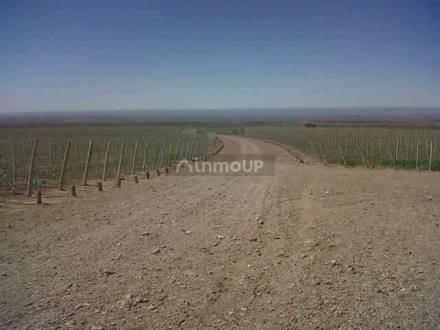 Finca en Venta en Tunuyan, Mendoza