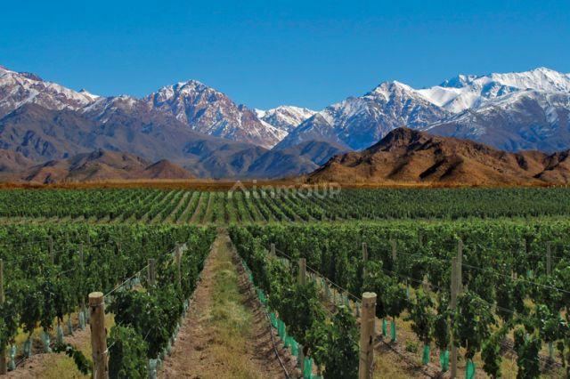 Finca en Venta en Tunuyan, Mendoza