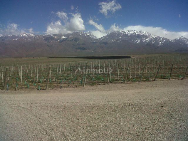 Finca en Venta en Tunuyan, Mendoza