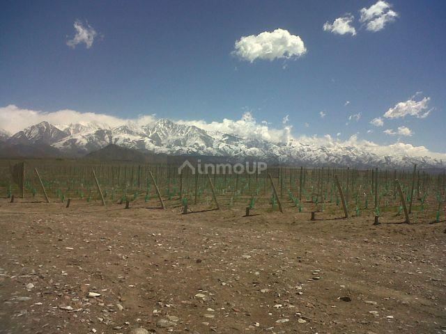 Finca en Venta en Tunuyan, Mendoza